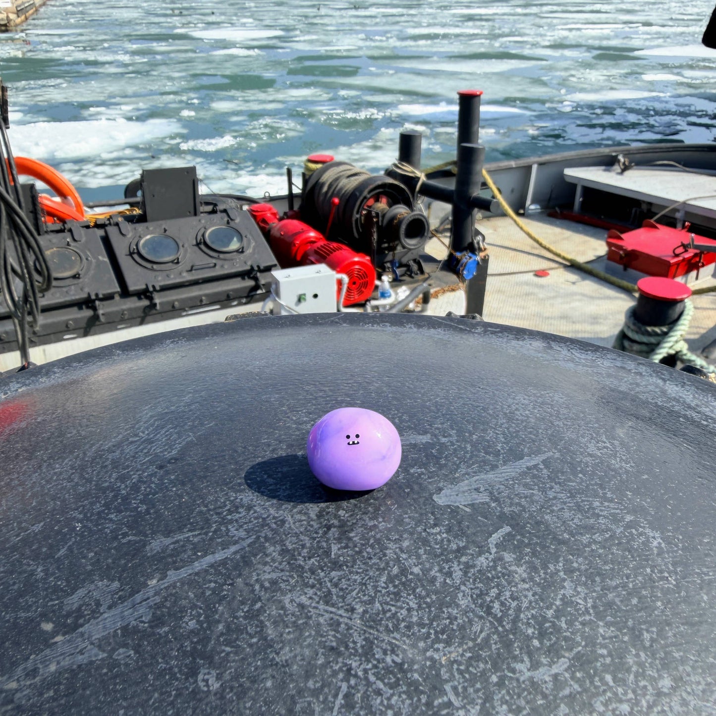 Bonino in a purple swirl color sitting near a boat on a partially frozen Lake Ontario.