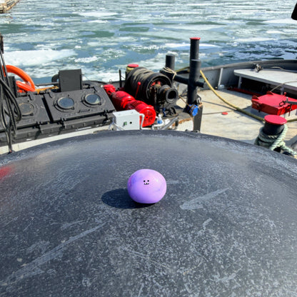 Bonino in a purple swirl color sitting near a boat on a partially frozen Lake Ontario.
