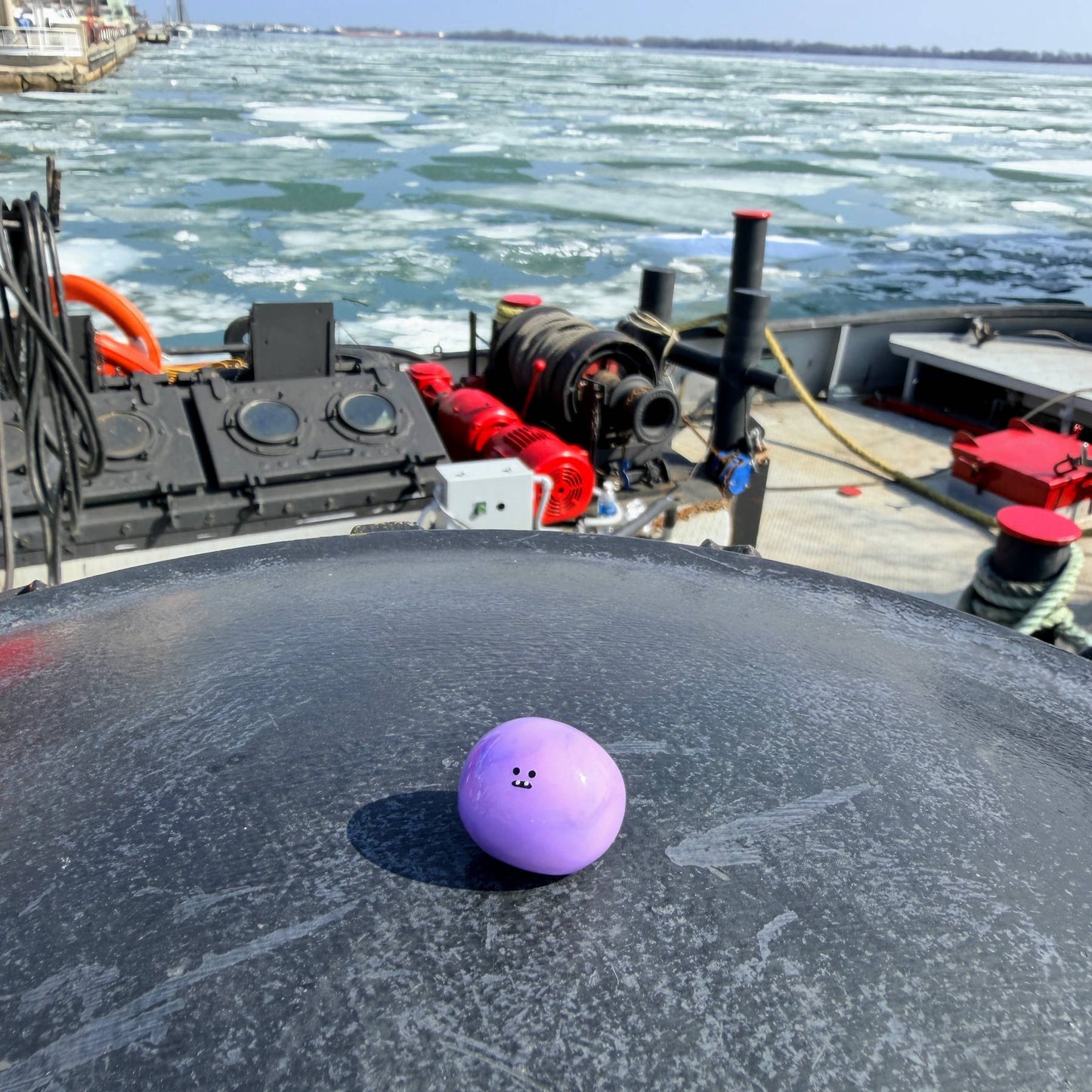 Bonino in a purple swirl color sitting near a boat on a partially frozen Lake Ontario.