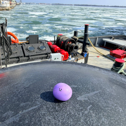 Bonino in a purple swirl color sitting near a boat on a partially frozen Lake Ontario.