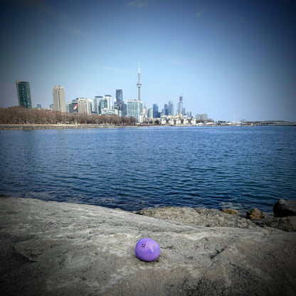 Bonino in a purple swirl color sitting on a rock overlooking downtown Toronto.