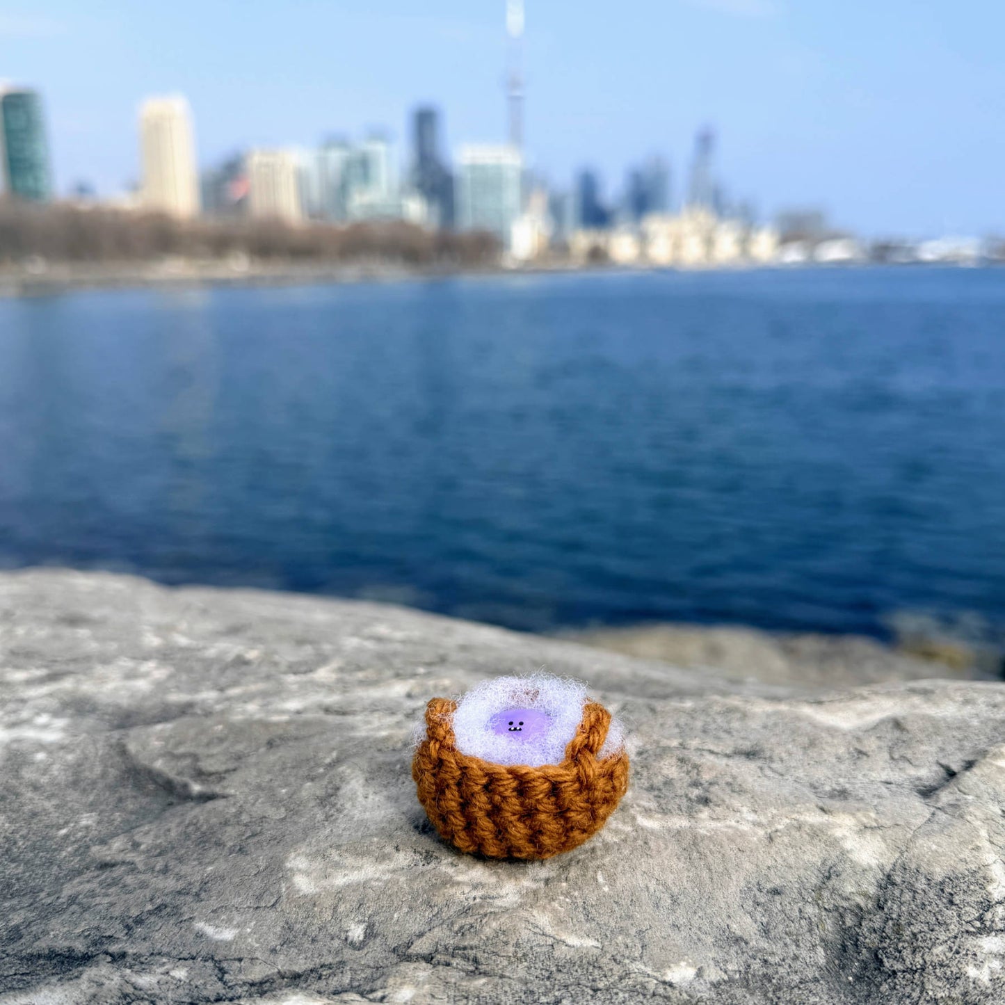 Bonino in a purple swirl color sitting on a rock overlooking downtown Toronto. Nestled in a crochet basket.